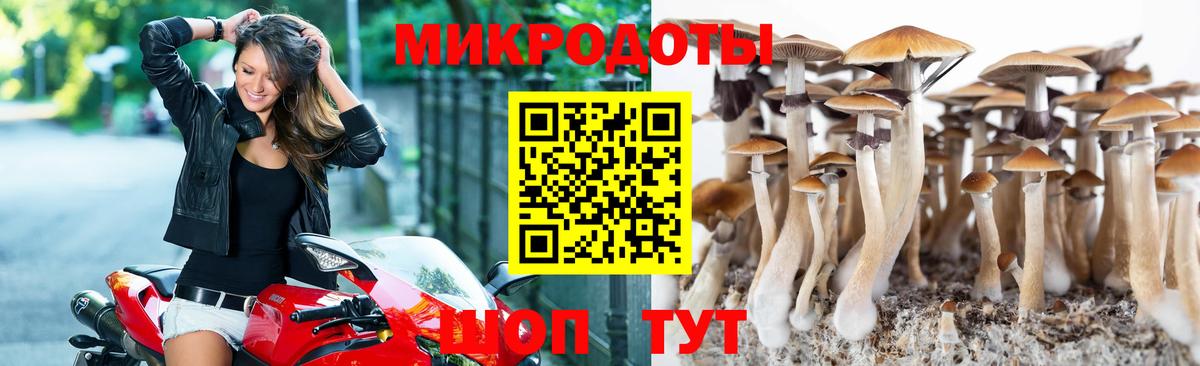 Псилоцибиновые грибы GOLDEN TEACHER Белебей